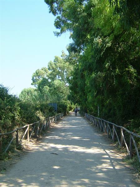 The reserve