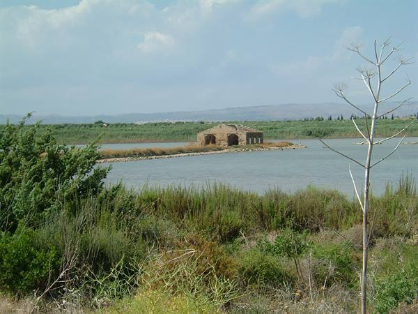 The reserve