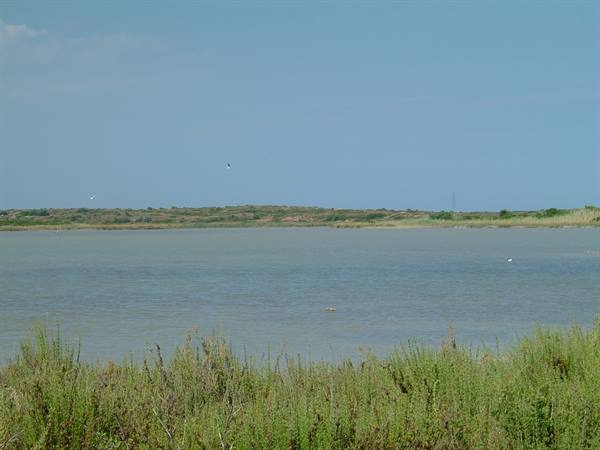 Birds in the reserve