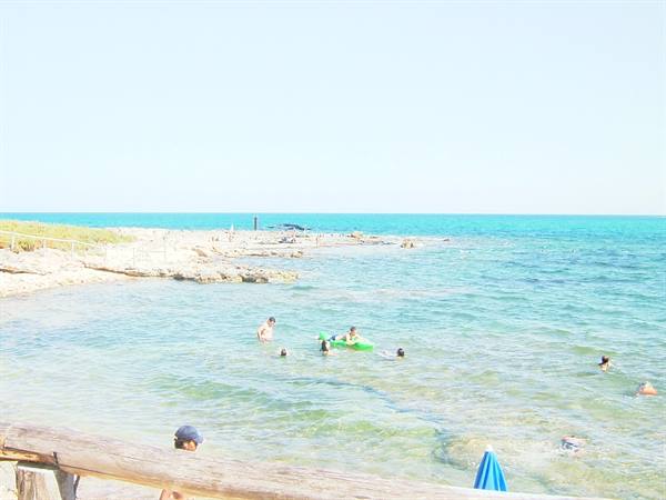 The sea
