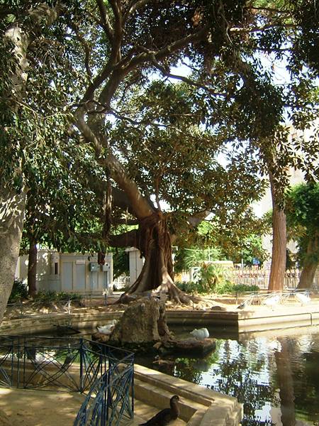 Municipal garden