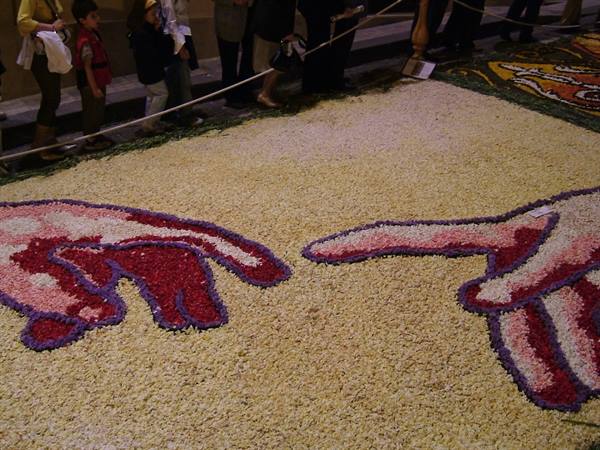 The flower festival