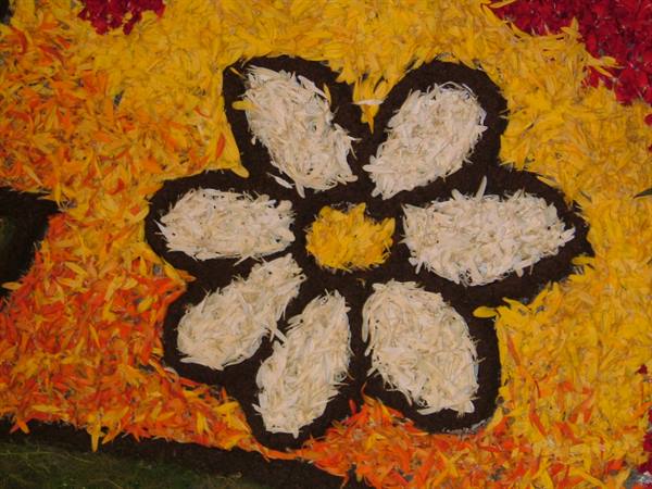 The flower festival