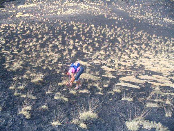 Wandering around Etna