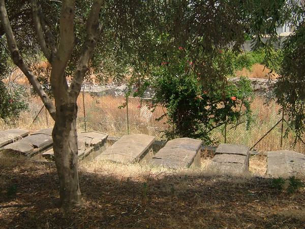 Diana archaeological park