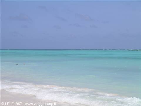the caribbean sea!!!