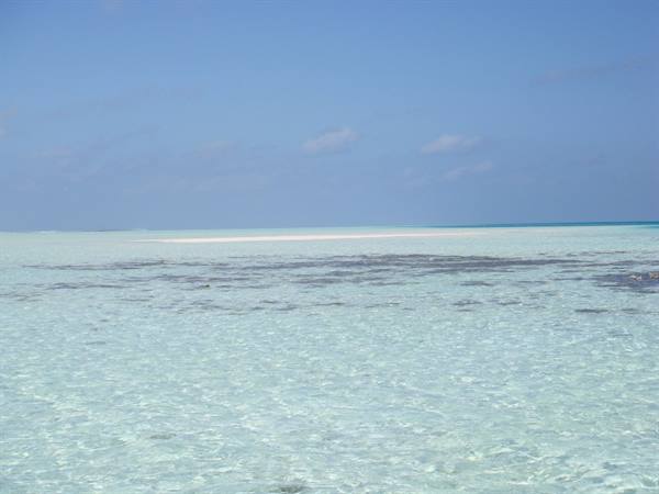 paradise!!!!