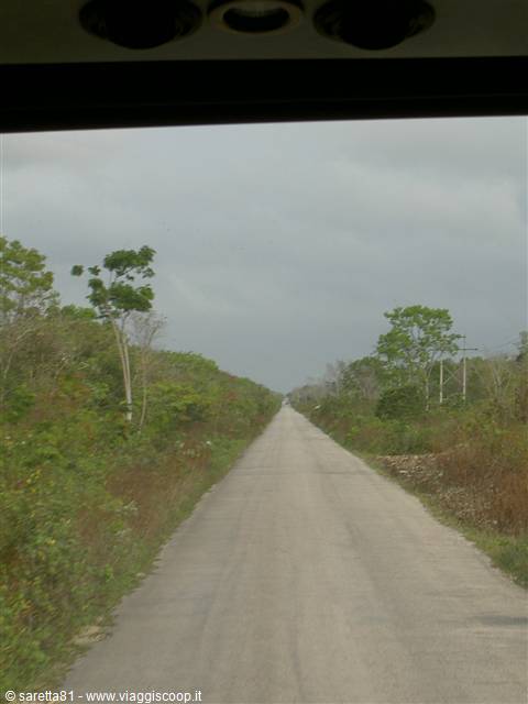 Straight concrete road through tropical vegetation seen from the bus, cloudy sky