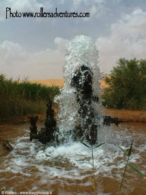 Spring 2 'Wahad'