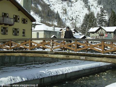 bridge