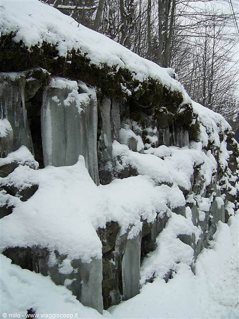 icicles