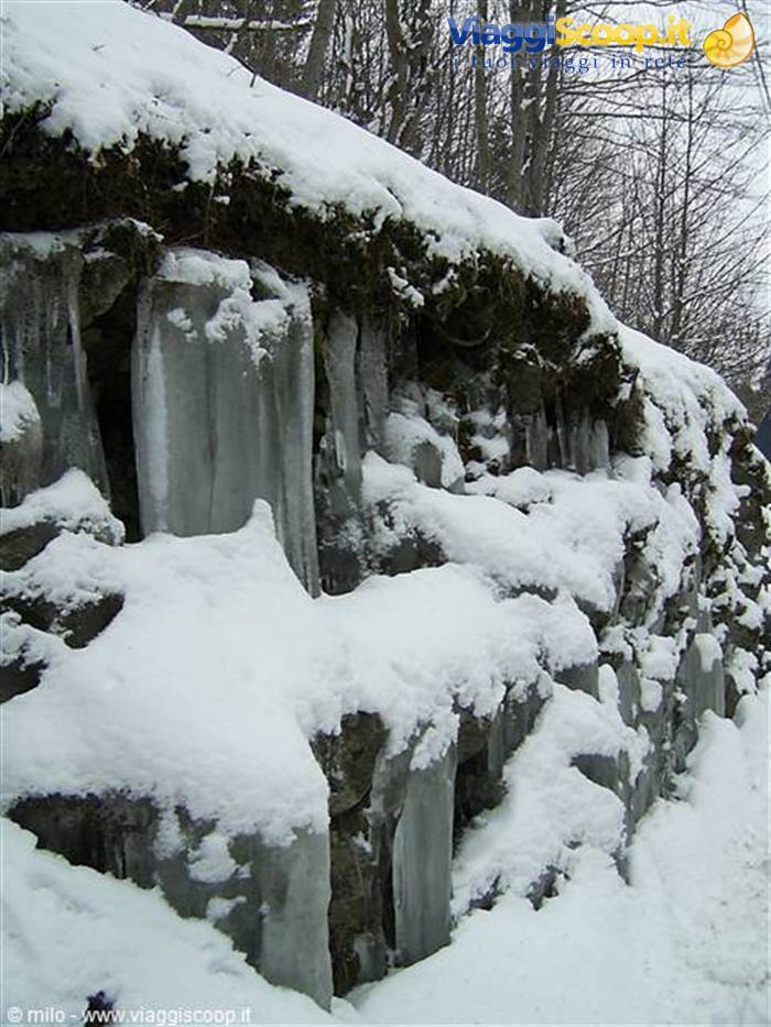 icicles