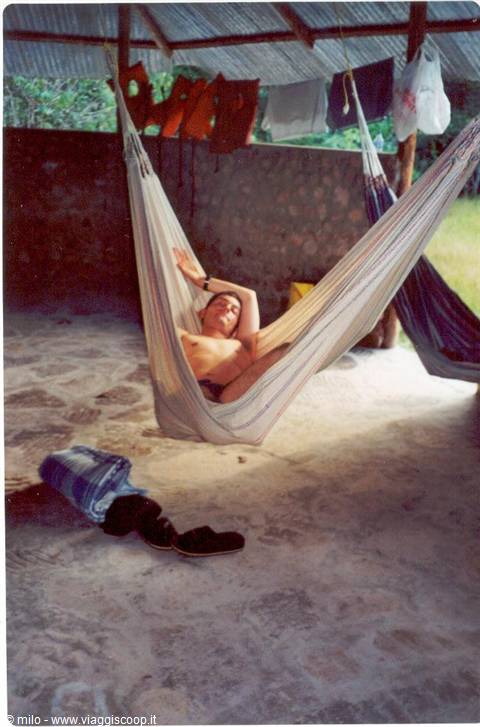 hammock in canaima