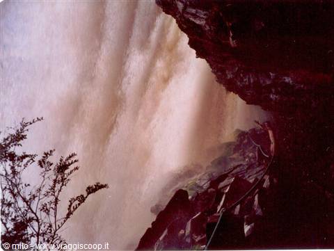 inside el sapo