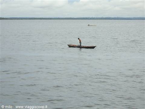 speedboat in the rio negro - manaus