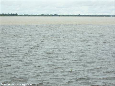 rio negro and amazon river