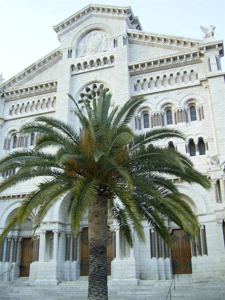 Palm tree in front of Monaco Cathedral, white stone facade