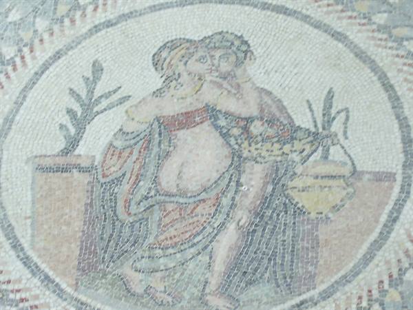 the mosaics