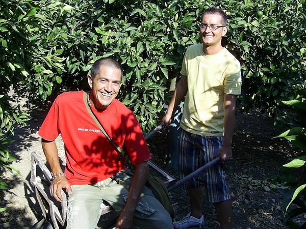 in giovanni's orchard