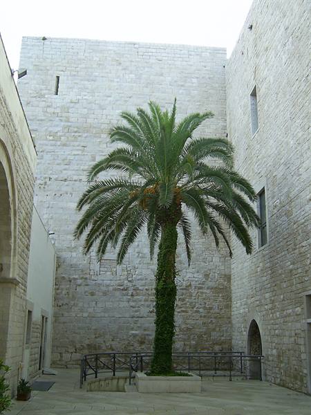inner courtyard of Trani castle