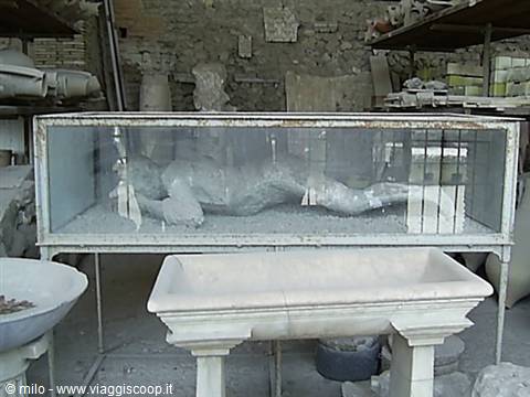 pompeii, human casts
