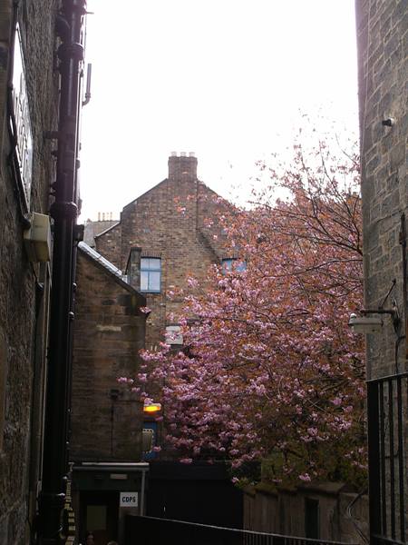 edinburgh view