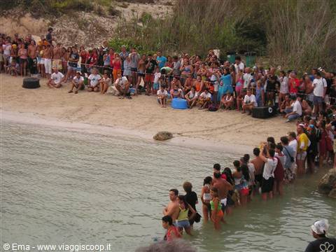 Crowd on beach and in water watching a sea turtle release