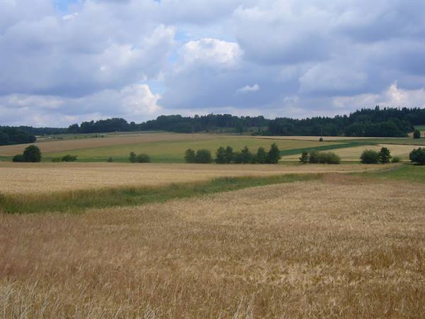 LANDSCAPE TOWARDS LAUTERBACH