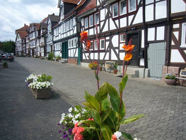 LAUTERBACH