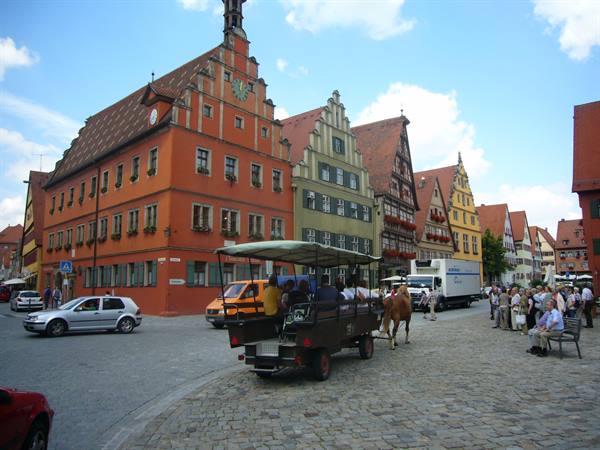 DINLELSHUHL