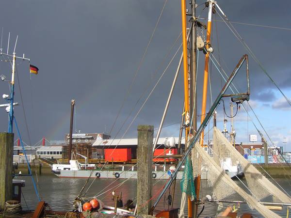 HARLESIEL THE HARBOUR
