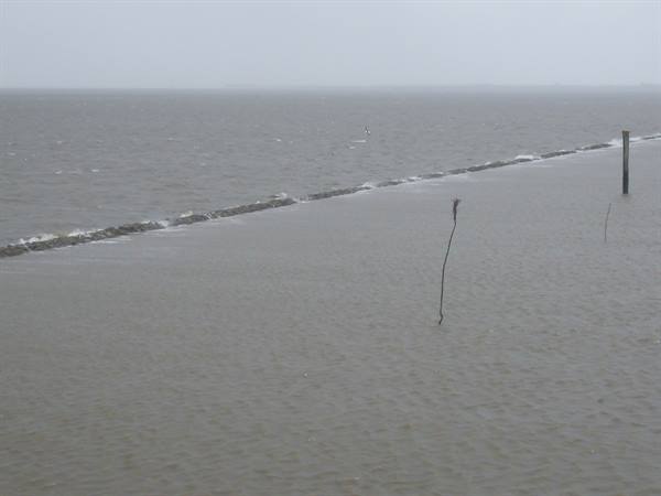 ON THE FERRY TO SPIEKEROOG