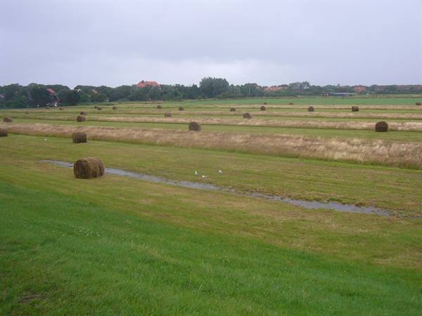 SPIEKEROOG THE COUNTRYSIDE