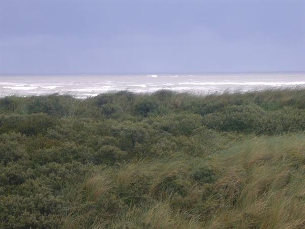SPIEKEROOG THE NORTH COAST ON THE OPEN SEA