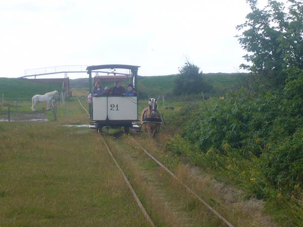 SPIEKEROOG HORSE-DRAWN TRAIN