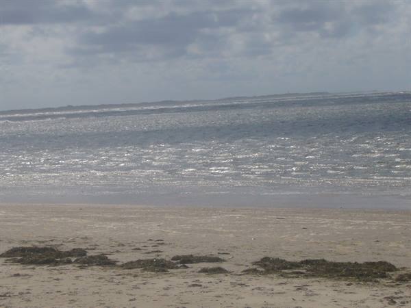 SPIEKEROOG THE COAST