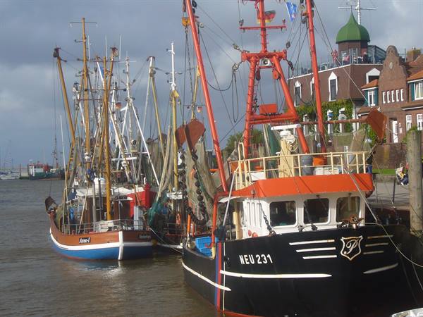 NEUHARLINGERSIEL FISHING BOATS