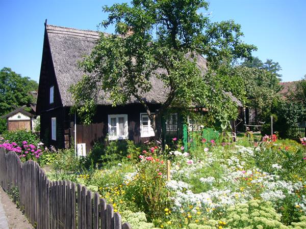 LEHDE