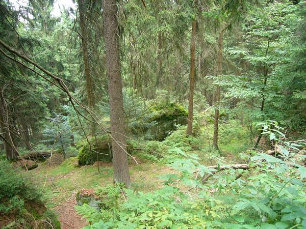 FELSEN LABYRINT