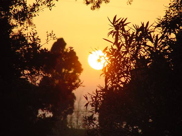 SUNSET AT SAN GUIDO