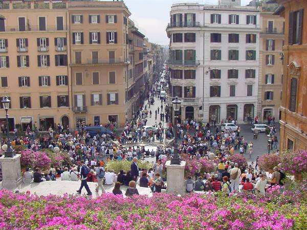 Crowded Spanish Steps in Rome with pink azaleas in the foreground