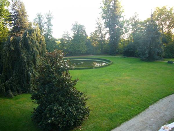 Circular pond on green lawn surrounded by trees in morning light