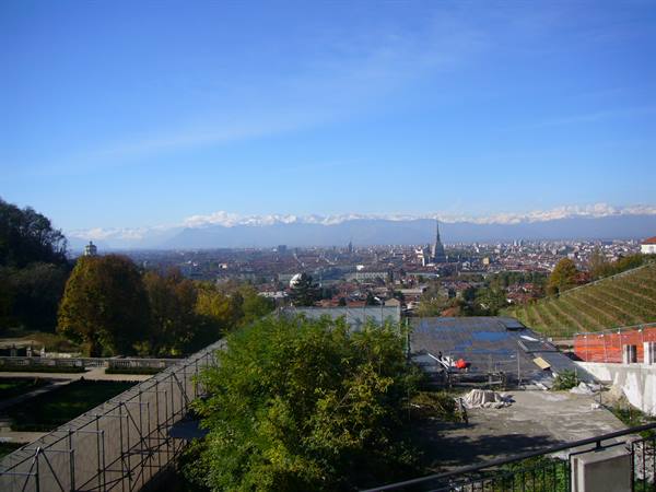 Turin with the Mole Antonelliana and snowy Alps from the hill