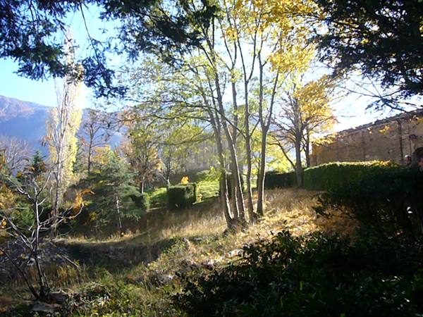 Autumn trees in sunlight, hedges and stone wall beneath mountains