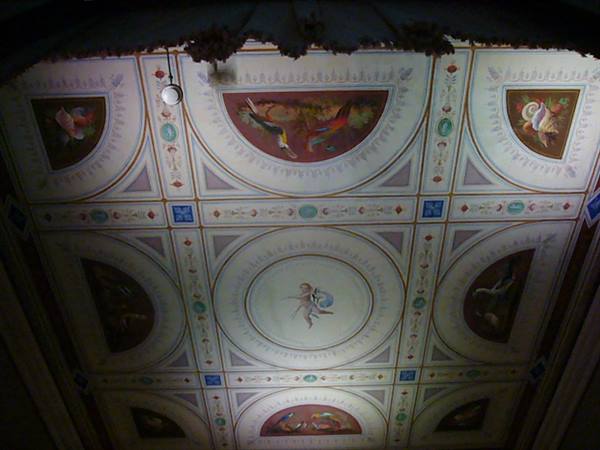 Frescoed ceiling with central cherub, exotic birds and geometric frames, lit from above