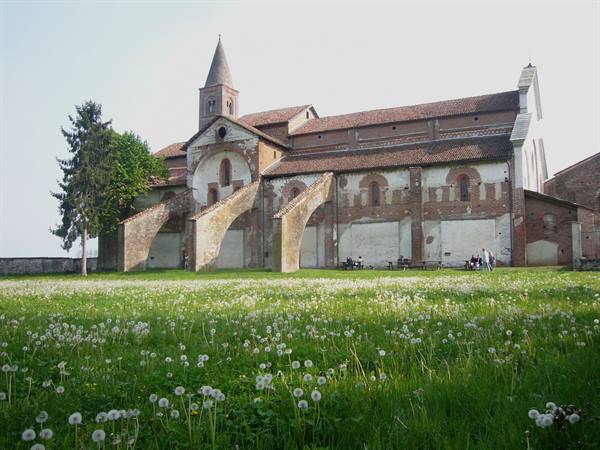 Staffarda Abbey, brick Cistercian church among dandelion meadow under soft light
