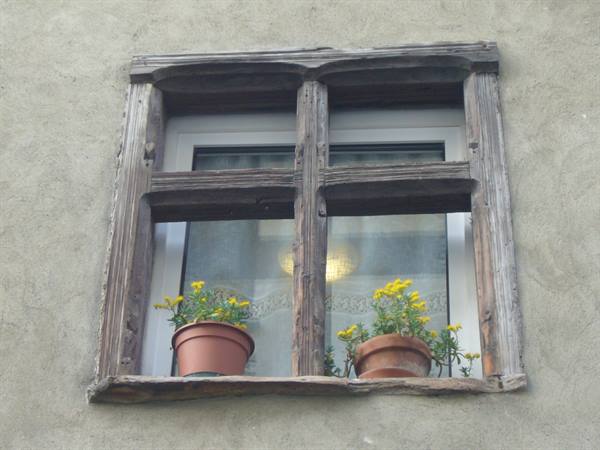 BARD A WINDOW
