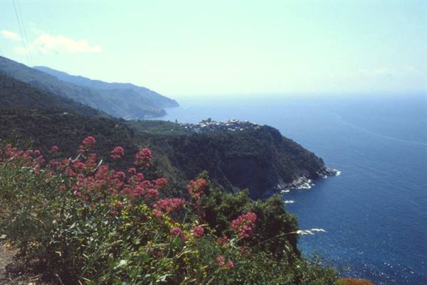 CORNIGLIA