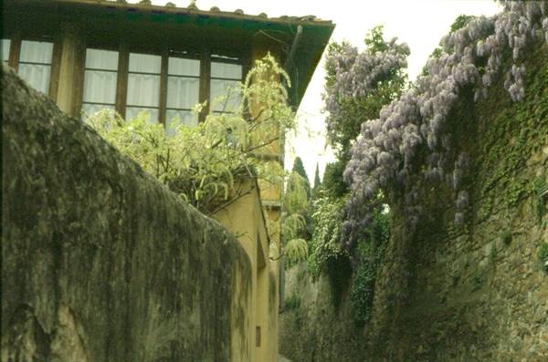 FIESOLE