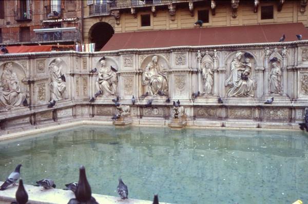SIENA